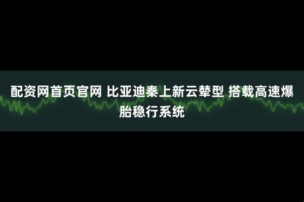 配资网首页官网 比亚迪秦上新云辇型 搭载高速爆胎稳行系统